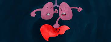 Copd And Liver Disease Could One Be Causing The Other