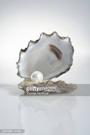 Pin By Julio Calixto On Romantic Cakes Pearls Oysters Oyster Pearl