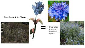 Skyrim on the xbox 360, a gamefaqs not to hijack, but does anyone know how fast the garden respawns? The Skyrim Garden Irl Practical Earth Plants Plants Pretty Plants Sage Seeds