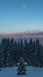 #iphone 6 #wallpapers and backgrounds. Nature Wallpapers Iphone 8 7 6s 6 For Parallax Desktop Backgrounds Hd Pictures And Images