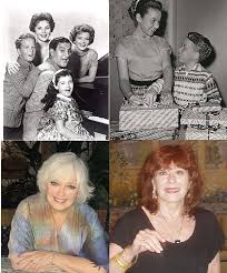 Old TV Show Hall Of Fame