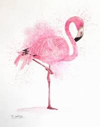 Download the perfect flamingo pictures. 440 Flamingo Ideas Flamingo Pink Flamingos Flamingo Art