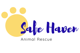 Safe haven animal rescue lafayette la. Safe Haven Animal Rescue