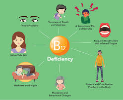Vitamin b12 is generally found in all animal foods except honey while there is no reliable b12 in plant foods, including tempeh, seaweeds, and organic produce. B12 Foods Vegetarian In India A Comprehensive Guide