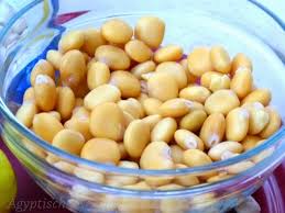 Lupine can grow in part shade, but flowering will be lessened. Lupinen Termiz Agyptische Rezepte