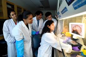 Lemonade Cartoon Porn - Animated Hentai