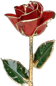 Gold dipped roses are an excellent gift idea for a special someone. Amazon Com Red 24k Gold Rose By Living Gold Real Rose Dipped In Gold Home Kitchen