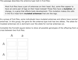 Some of the worksheets displayed are punnett square work, dihybrid punnett square practice, aa ee ii mm bb ff jj nn cc gg kk oo dd hh ll pp, punnett square challenge, more punnett square practice 11, practice. Ixl Complete And Interpret Punnett Squares 8th Grade Science