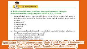 Uji kompetensi bab 1 halaman 49 b. Jawaban Pg Uji Kompetensi Bab 2 Ipa Kelas 9 Halaman 120 Youtube