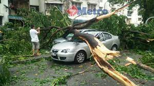 Check spelling or type a new query. 20 Kenderaan Rosak Ditimpa Pokok