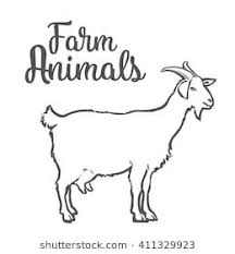 Farm Pet Goat Sketch Drawn By Hand Cattle Milk And Goat Meat One Farm Horned Animal On A White Background Vector Illus Ziegenkunst Ziege Skizzen Von Handen