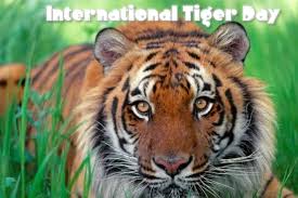 Wild mammal is an animal. 7iuhxoaqdfbmqm