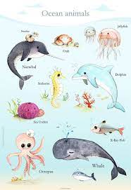 Sea life animals and plants composition by vectorpot sea life animals plants composition colored cartoon with marine life and various types of algae vector illustration. 56 Underwater Themed Drawings Ideas Drawings Animal Drawings Art