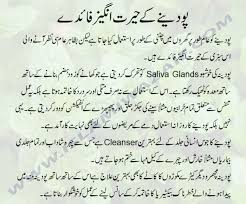 Surprising Health Benefits Of Mint In Urdu Vaseline Beauty Tips Beauty Tips In Urdu Effective Skin Care Routine