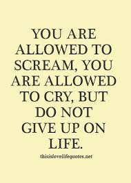 You Re Allowed To Scream You Re Allowed To Cry You Are Allowed To Scream You Are Allowed To Cry Do Not Give Up On Life Life Quotes Life Quotes To Live By Inspirational Quotes For Teens