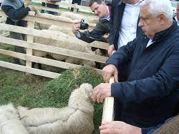 Se tranșează mielu și se face bucăți mici. Tocanul De Oaie Preparat La O StanÄƒ De Pe Transalpina Inregistrat Ca Produs TradiÈ›ional Hotnews Mobile