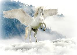 Check spelling or type a new query. áˆ Avistamientos De Unicornios Reales Mundounicornios
