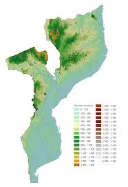 Image result for Commiphora fulvotomentosa