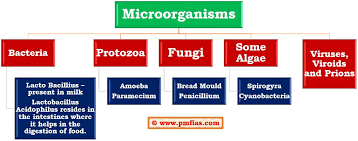 diseases caused by microorganisms pmf ias