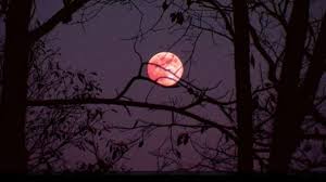 Последние твиты от moontoday (@moontoday). Lunar Eclipse 2020 All You Need To Know About Strawberry Moon