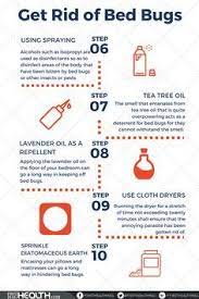 Effective Home Remedies To Get Rid Of Bed Bugs Rid Of Bed Bugs Bed Bugs Bed Bug Remedies
