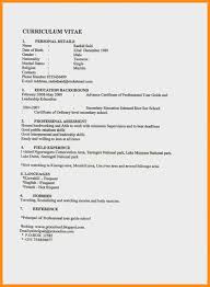 12 13 computer skills resume examples