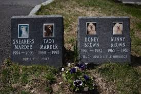 A pet burial plot and a dug grave cost about $400 to $600. At America S First Pet Cemetery Beloved Animals From Lizards To Lions Find A Peaceful Resting Place Roadtrippers