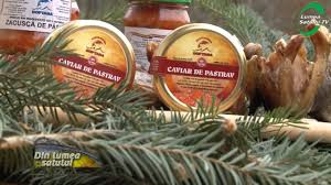 Cetină și coajă de brad proaspăt culese. Pastrav Traditional Si Montan