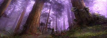 1 class role 2 equipment 3 skill trees 4 abilities 5 gallery role: Tython Wookieepedia Fandom