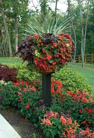 Kinsmangarden Com Container Gardening Garden Containers Plants