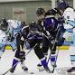 Women's Elite League Ice Hockey - Bristol Huskies event image