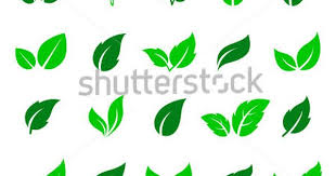 Vector green mint leaves png and vector | daun, desain, desain logo. Gambar Gratis Di Pixabay Daun Musim Gugur Cabang Ranting Vektor Gratis Daun Gambar