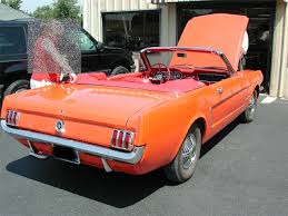 Image result for Poppy Red 1965 Mustang