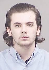 Defendant in crime spree pleads guilty