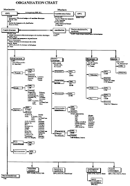 1 organization chart download scientific diagram