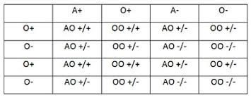 Understanding Genetics