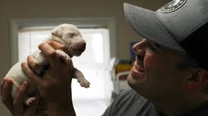 Pickens County firefighter to adopt puppy from litter he saved from house  fire