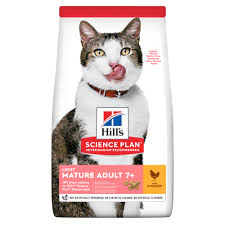 Kedi Mamasi Hill S Pet