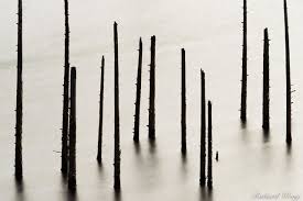 Abstract Nature Photography Richard Wong Photography
