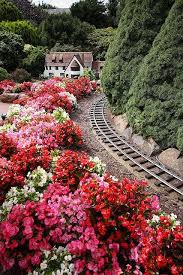 Canberra Australia Beautiful Gardens Beautiful Places Green Garden