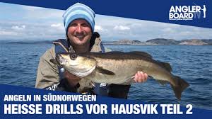 Maybe you would like to learn more about one of these? Angeln In Sudnorwegen Heisse Drills Vor Hausvik Teil 1 Norwegen Dorschangeln Und Pollack Montage Youtube