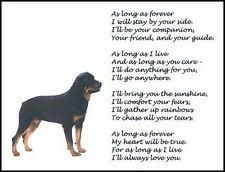 Beautiful Rottweiler Print As Long As Forever Verse Poem Dog Pet New Rottweiler Rottweiler Love I Love Dogs