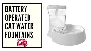 Thus, a water fountain is often required to keep your pet healthy. 3 Great Options For A Battery Operated Cat Water Fountain