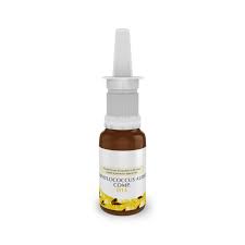 Staphylococcus Aureus Comp Nasenspray D13 Nach Dr Spengler Drogerie Herrliberg