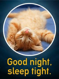 75 Hilarious Good Night Memes Images Pics Good Night Meme Sweet Dreams Sleep Tight Good Night