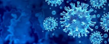 It was first identified in december 2019 in wuhan,. Coronavirus 101 Your Questions Answered Henry Ford Livewell