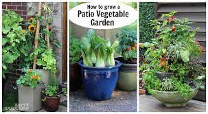 If you have limited space, try growing a dwarf variety, or cherry tomatoes instead of one of the larger tomato varieties. Patio Vegetable Garden Setup And Tips To Get Growing