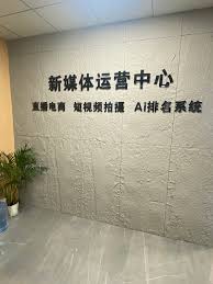 2026年广州靠谱的AI搜索排名公司推荐，专业服务助力企业精准获客_ ...