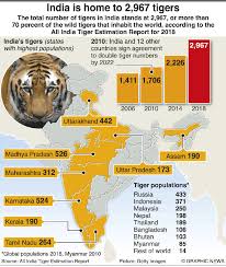 India Home To 2 967 Tigers Says Census Revealed On Global