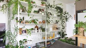 Check spelling or type a new query. How To Display Houseplants 98 Of Our Favorite Plant Display Ideas Apartment Therapy